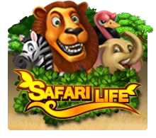 Safari Life - AUTOCUAN777
