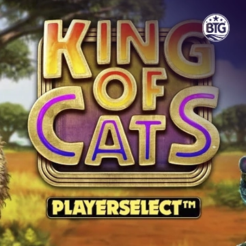 King of Cats - AUTOCUAN777