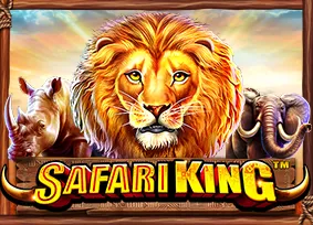 Safari King - AUTOCUAN777