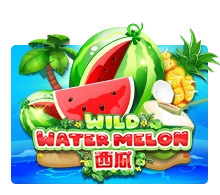 Wild Watermelon - AUTOCUAN777