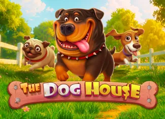 The Dog House - AUTOCUAN777