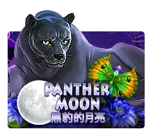 Panther Moon - AUTOCUAN777